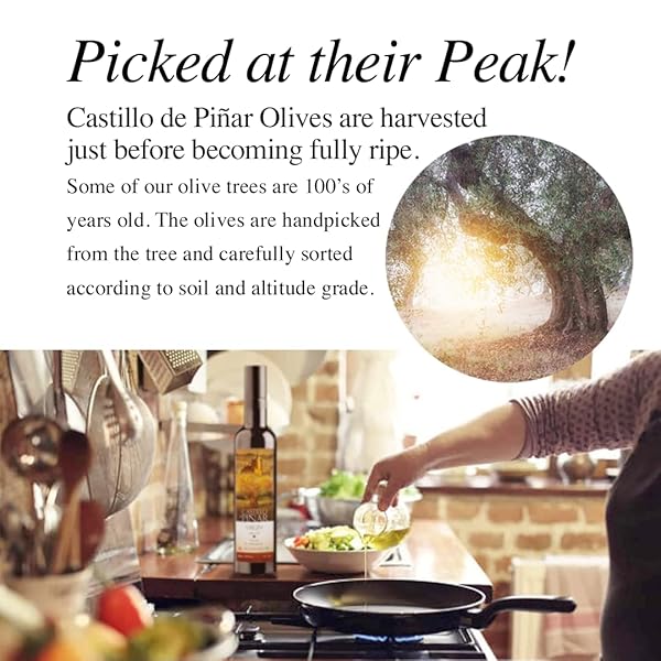 CASTILLO DE PINAR FIRST COLD PRESSED ORG EXTRA VIRGIN OLIVE OIL PICUAL SINGLE-VARIETY 500ML
