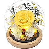 Casaido Preserved Roses Flowers for Delivery, Vanlentines Day Gifts for Her, Yellow Forever Flores in Glass Dome for Women Mom Wife Girlfriend, Anniversary Birthday Rose Gift for Mothers Day Christmas