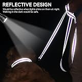 Joytale Padded Handle Dog Lead Double-Sided Reflective Nylon Purple 1.2m view 4
