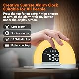Te-Rich Sunrise Alarm Clock Wake Up Light with Dual Alarms 9 Colours 10 view 3