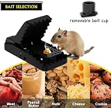 Briteen 6 Pack Mouse Traps Indoor Instant Kill Stainless Steel Spring Safe Set view 2