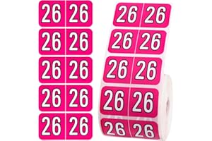 SINBANA 500pcs 2026 Year Stickers, 3/4x1-1/2 Inch File Folder Labels 26 Year Colored Self-Adhesive Medical Chart Number Stickers for Tab File Folders Office Supplies (Rose Red)