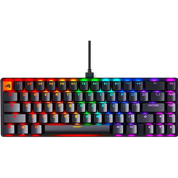 Glorious Gaming GMMK TKL 85%, Barebones (alleen frame) - Mechanisch gamingtoetsenbord, RGB per toets, hotswap en aanpasbaar, Amerikaanse/ANSI- indeling - Zwart