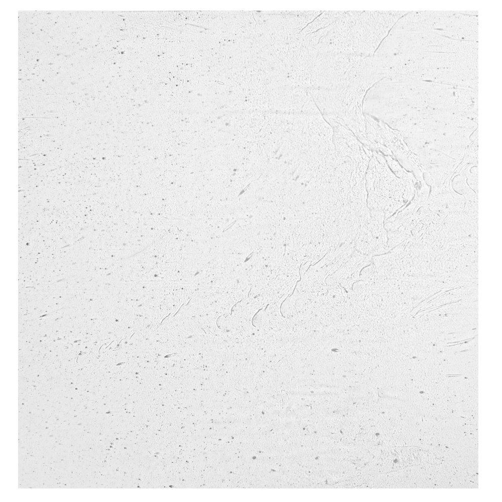 Studio Pro 12Inch by 12Inch Clear Seeded Sheet Glass