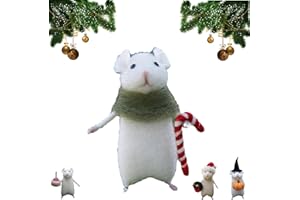 DABATO Halloween Mouse with A Pumpkin, 2024 New Cute Handmade Wool Felt Christmas Mouse Ornament, Needle Felted Pumpkins Animals Decoration, Christmas Home Decoration Gifts (B)