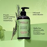 Mielle Organics Rosemary Mint Strengthening Shampoo for Dry Weak Brittle Hair view 5