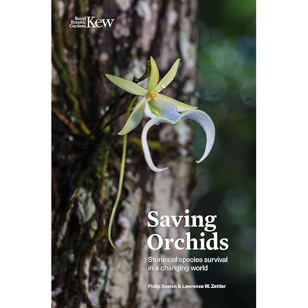 Orchid Species Culture: Dendrobium: Baker, Charles O., Baker