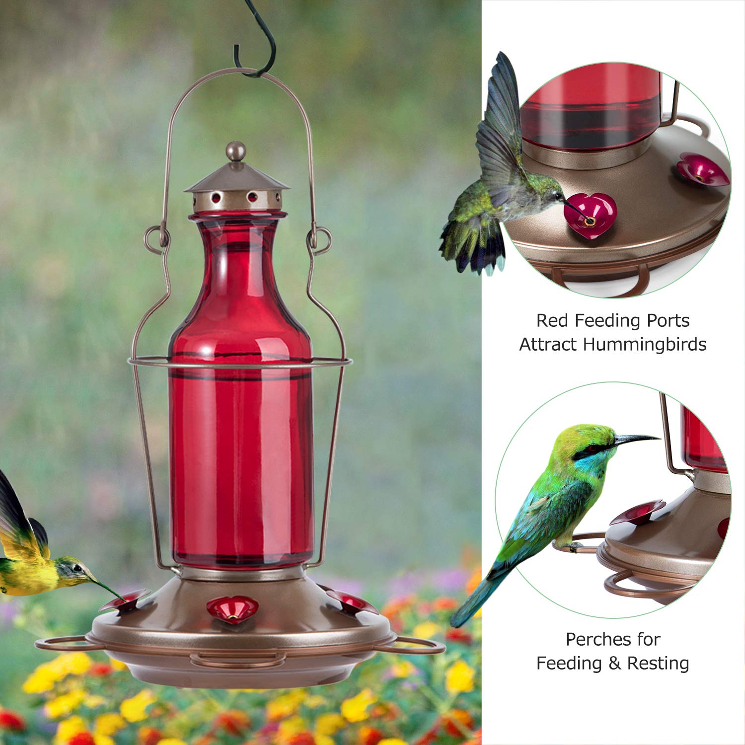 20 Ounces Bolite 18004 Hummingbird Feeder Vintage Red Wine Bottle