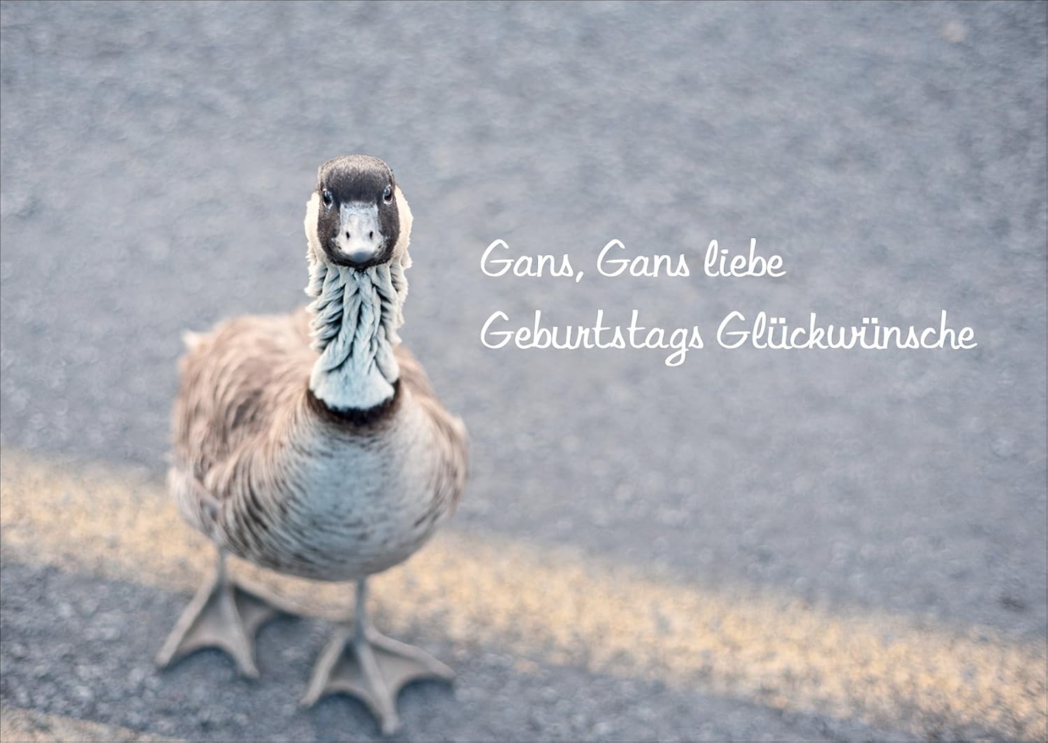 „Eine Alberne Gans“ Geburtstagskuchen-Topper – 6 Gänseblümchen, 2 Gänse & 10 Bälle Für 1. Geburtstagsparty
