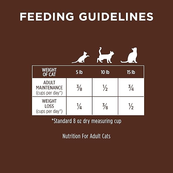 INSTINCT ULTIMATE PROTEIN, NATURAL DRY CAT FOOD, GRAIN FREE RECIPE – CAGE FREE DUCK, 4 LB. BAG
