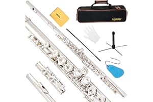 BQKOZFIN Closed Hole C Flute 16 Keys Flute Nickel Plated Tube Instrument with Cleaning Clotht, Stand, Carrying Case, Gloves f