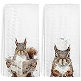 dvhdajed Funny Squirrel Hand Towels for Bathroom Washroom, Rustic Squirrels Decorative Hand Towels Set of 2, Cute Wild Animals Squirrel Dish Tea Towels for Kitchen Cabin Farmhouse Decor, 16x24 Inch