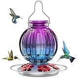 Glass Hummingbird Feeder for Outdoors Hanging, 26Oz