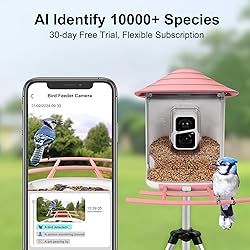 birdsnap® TUC- Smart Bird Feeder with Camera+Solar
