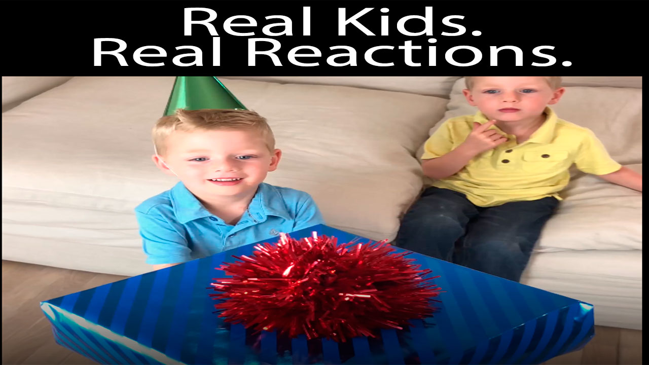 6 Bees+Me+Dinosaur+Toys+Girls