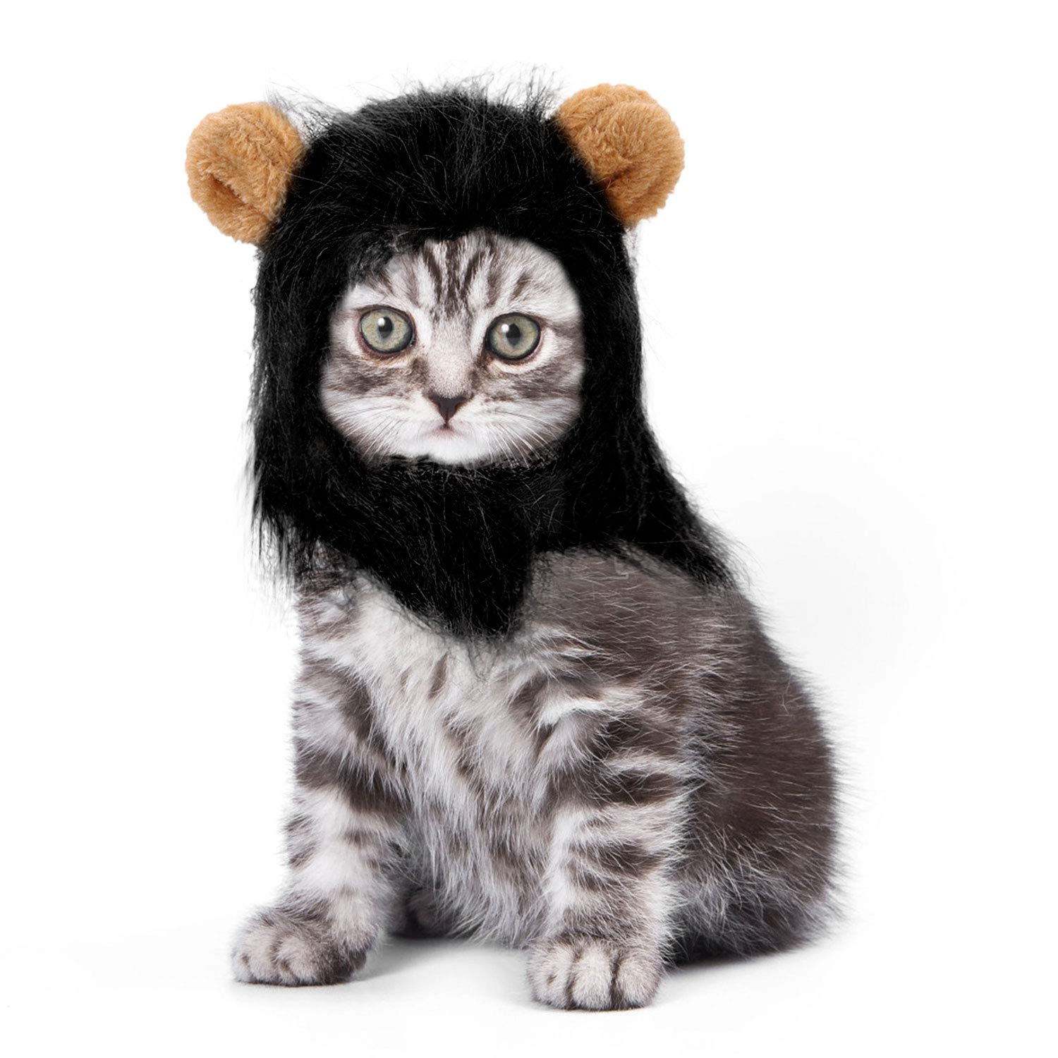 Legendog Lion Mane Wig for Cats, Cat Halloween Costume, Black Lion Mane, Cute Halloween Pet Apparel for Cats