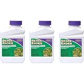 Sedge Ender Concentrate3