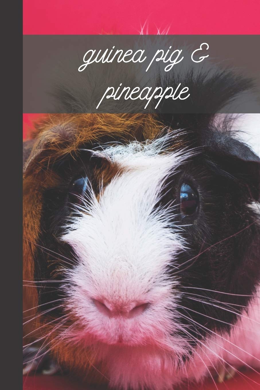 pineapple guinea pigs