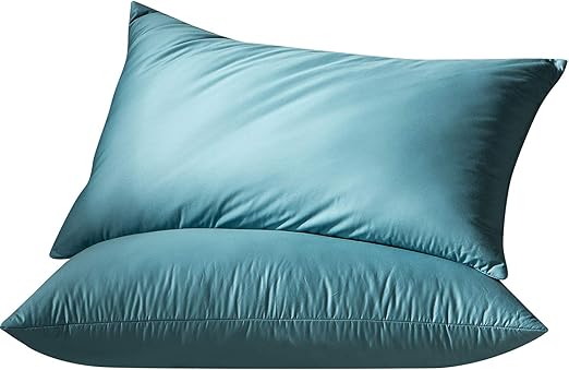 Amazon Com Globon Luxurious White Goose Feather And Down Bed