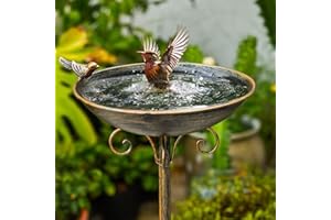 SMQLJXC Diam 11.4" W*27.6" H Cast Iron Pedestal Bird Bath, Bird Baths for Outdoors, Bird Feeder Seed Tray Garden Yard Decoration