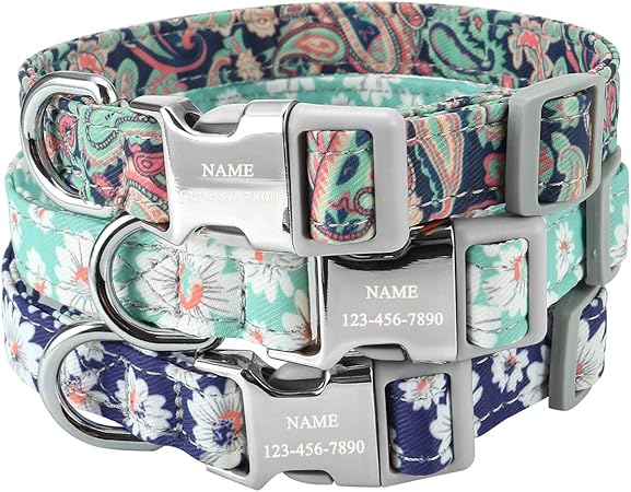 engraved pet collars