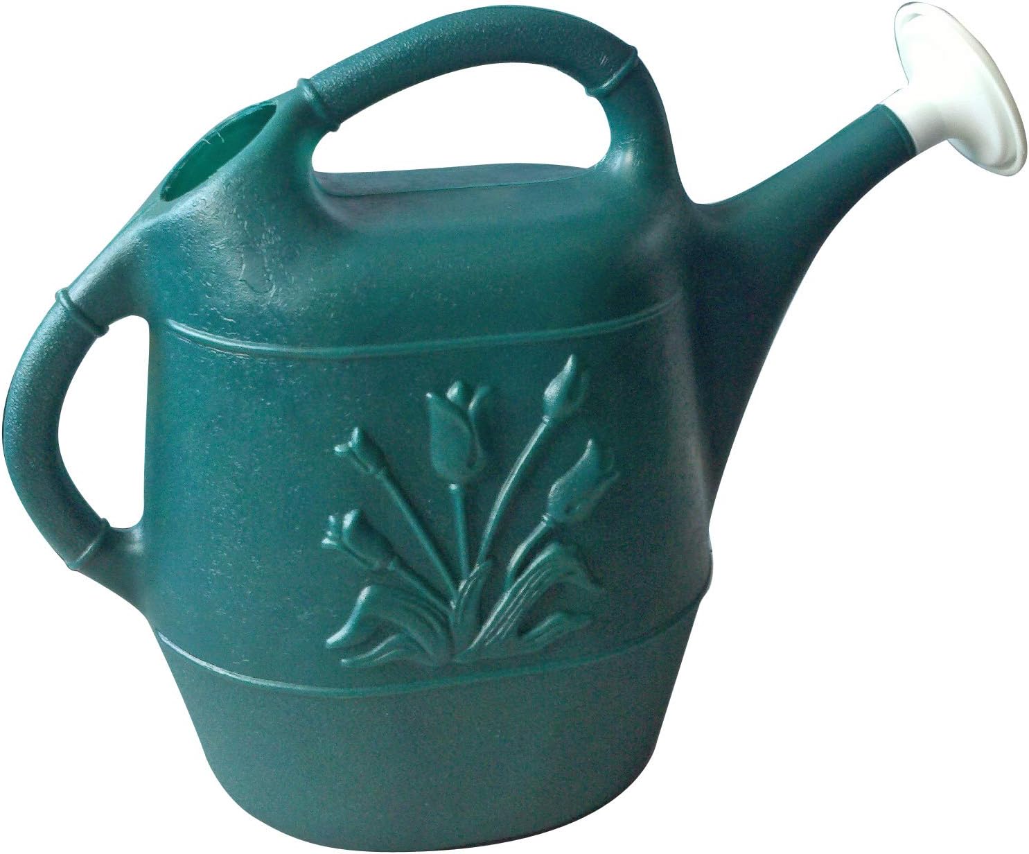 Cado 63065 2Gal Watering Can, Hunter Green, 2 gallon : Garden & Outdoor