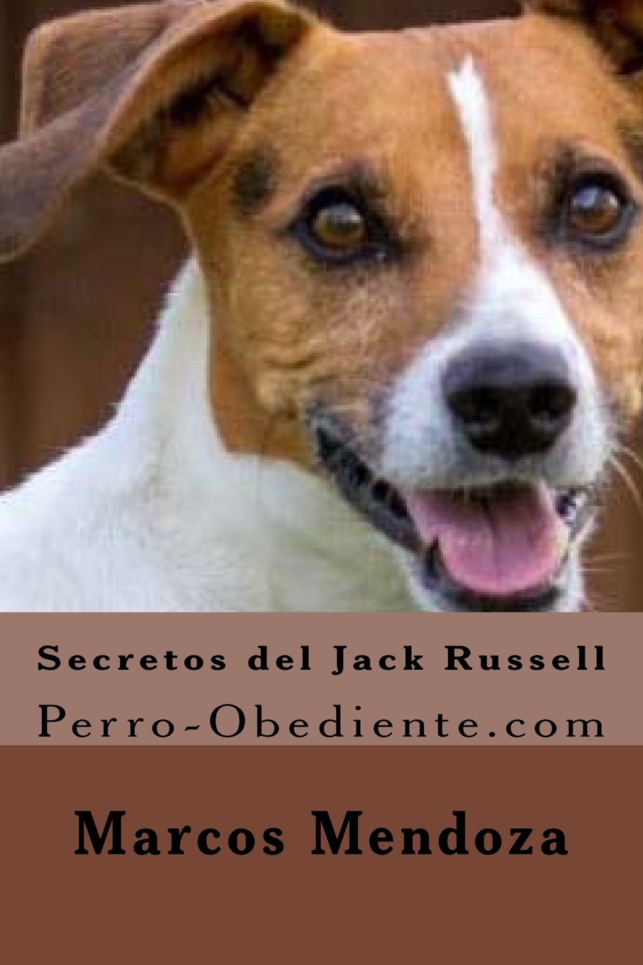 Secretos Del Jack Russell Perro Obediente Com Spanish Edition Mendoza Marcos 9781530434299 Amazon Com Books