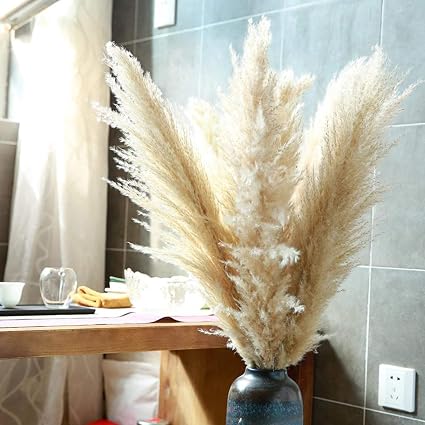 Pampas Grass