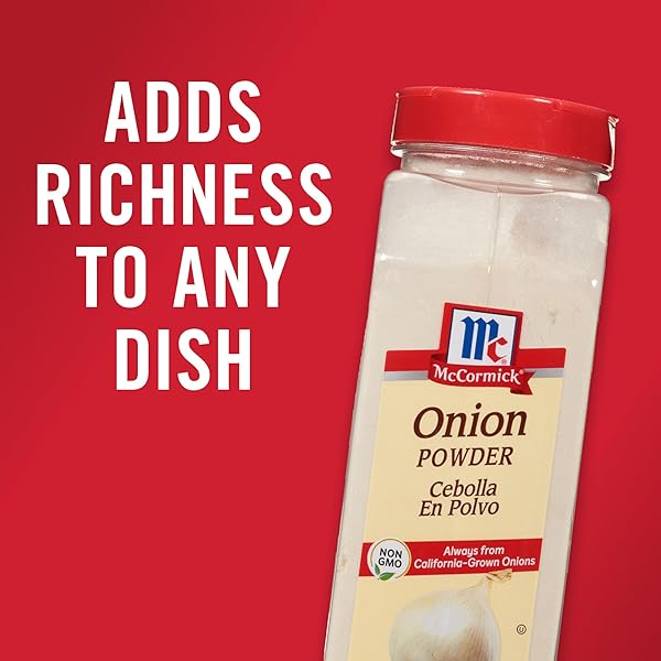MCCORMICK ONION POWDER, 22 OZ