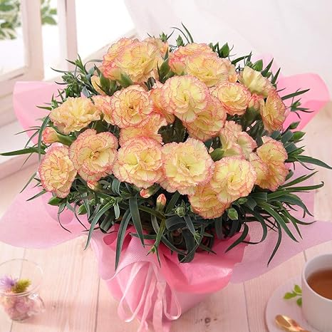 Amazon 母の日 カーネーション鉢 キュートなカラー パナシェ 21 花鉢 花 生花 ギフト プレゼント 鉢植え 花 観葉植物 フラワーギフト オンライン通販 Amazon 母の日 カーネーション鉢 キュートなカラー パナシェ 21 花鉢 花 生花 ギフト プレゼント 鉢植え 花 観葉植物 フラワーギフト オンライン通販