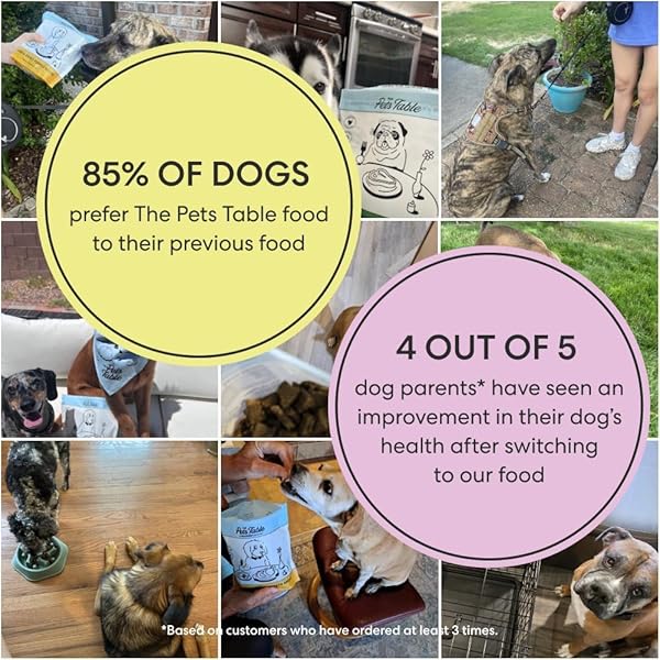 THE PETS TABLE LAMB & BEEF WITH BROWN RICE AIR DRIED DOG FOOD, 1LB / 16 OZ BAG