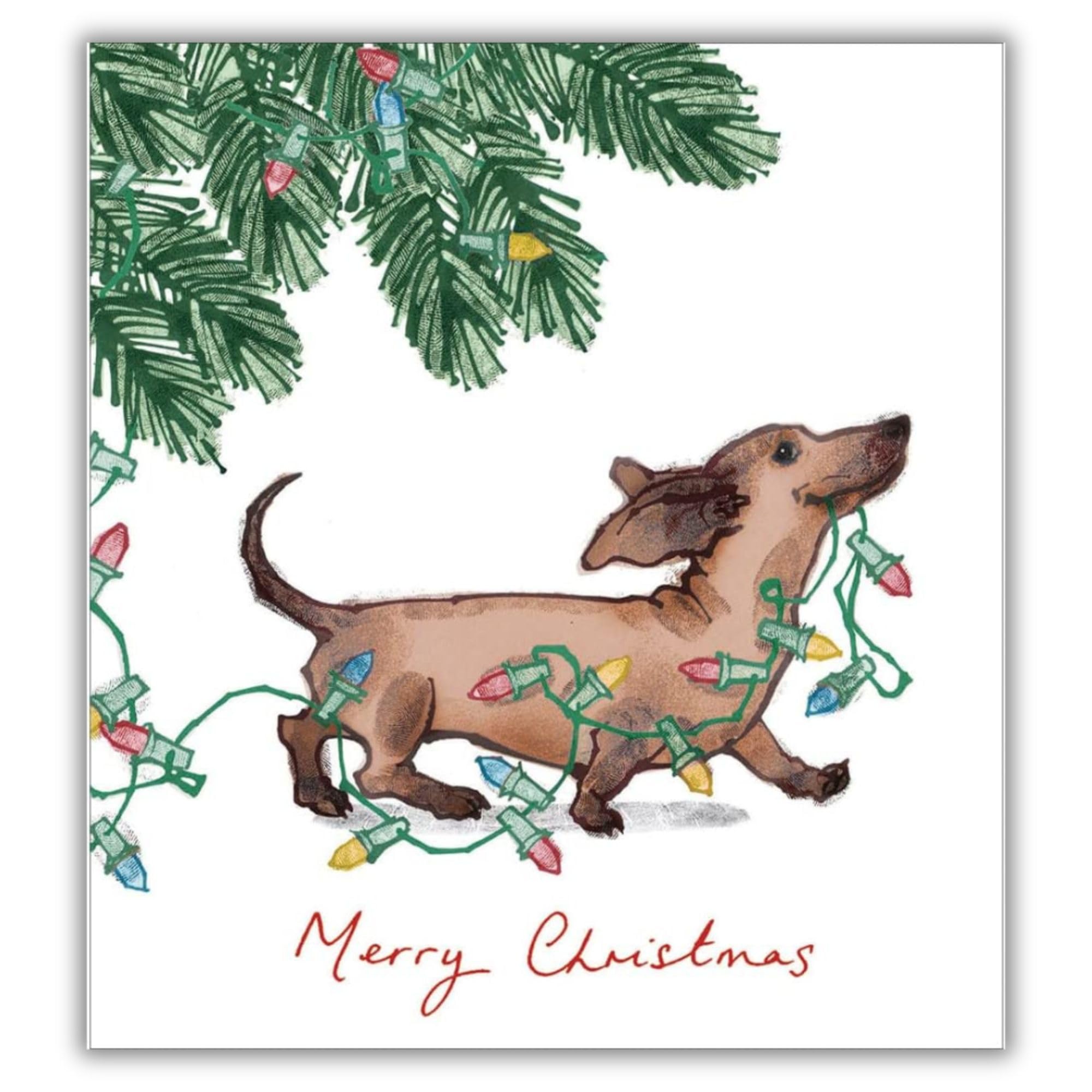Woodmansterne Charity Christmas Cards Pack of 5 - Assorted Designs - Cute Dachshund Dog and Fairy Lights Design - Festive Christmas Cards Multipack - In Aid of UK Charities