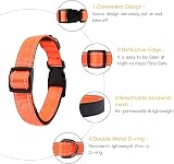 HEELE Reflective Dog Collar Soft Neoprene Padded Nylon Adjustable Small Orange S view 3