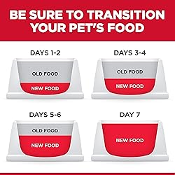 Hill's Science Diet Puppy, Large Breed Puppy