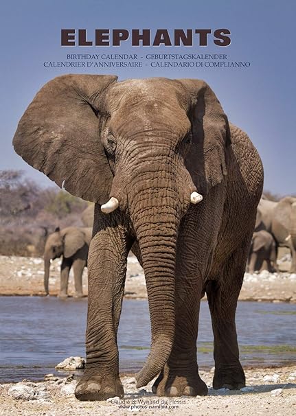 Calendario Di Compleanno Degli Elefanti Con Foto Espressive