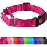 Joytale Martingale Collar for Dogs, Escape Proof No Pull, Hotpink, M | Gentle Cinch Stops Pulling without Choking, Safety Lock Buckle, Reflective Stitching for Night Walks, Soft Nylon