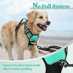 rabbitgoo Dog Harness No Pull with 2 Leash