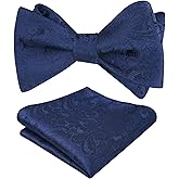 Alizeal Mens 2pcs Paisley Jacquard Self-Tie Bow Tie Pocket Square Set