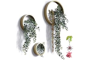 ZEETOON Modern Wall Planters Wall Vase Succulent Planter Circle Round Flower Pot Metal Iron Indoor Vertical Container Wall Hanging Home Decoration (Pack of 3, Gold)