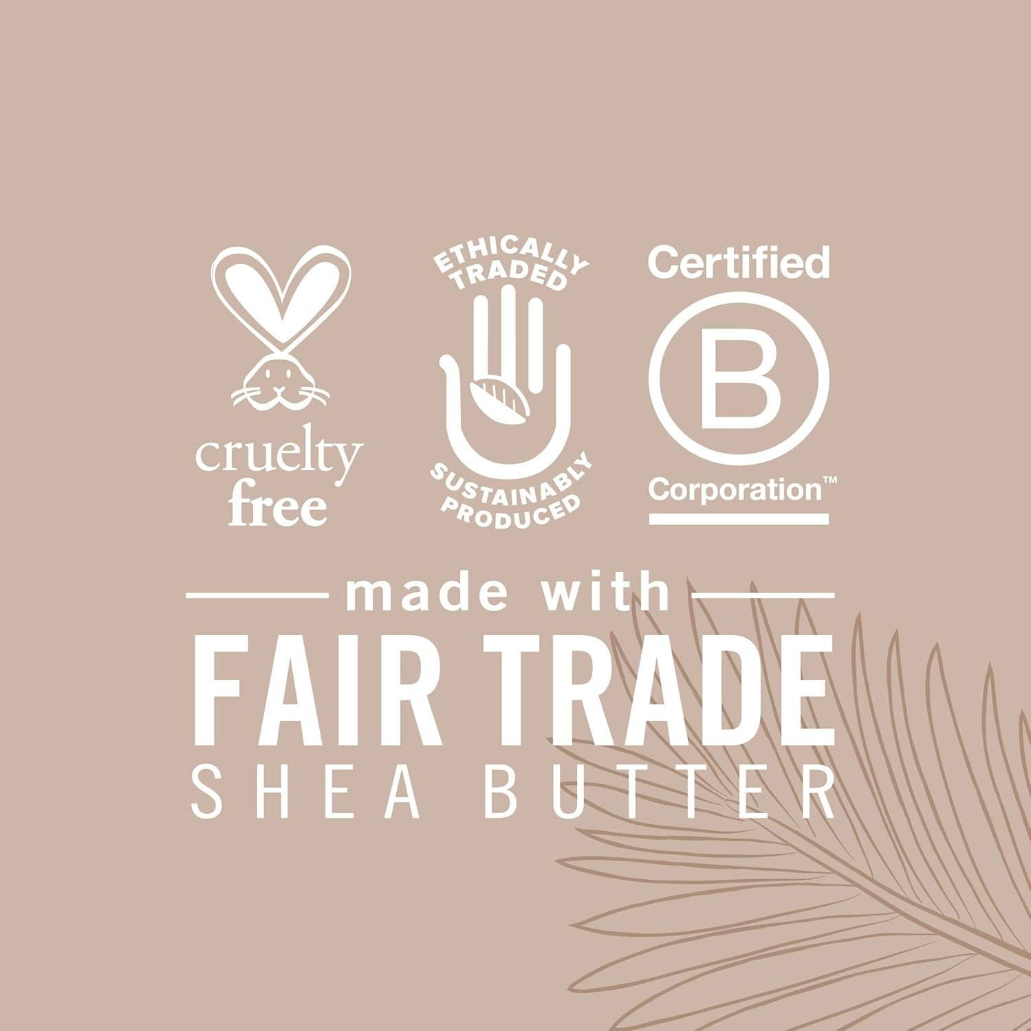 SheaMoisture Daily Hydration Body Oil for Dry Skin 100% Virgin Coconut Oil with Shea Butter 8 oz : Beauty