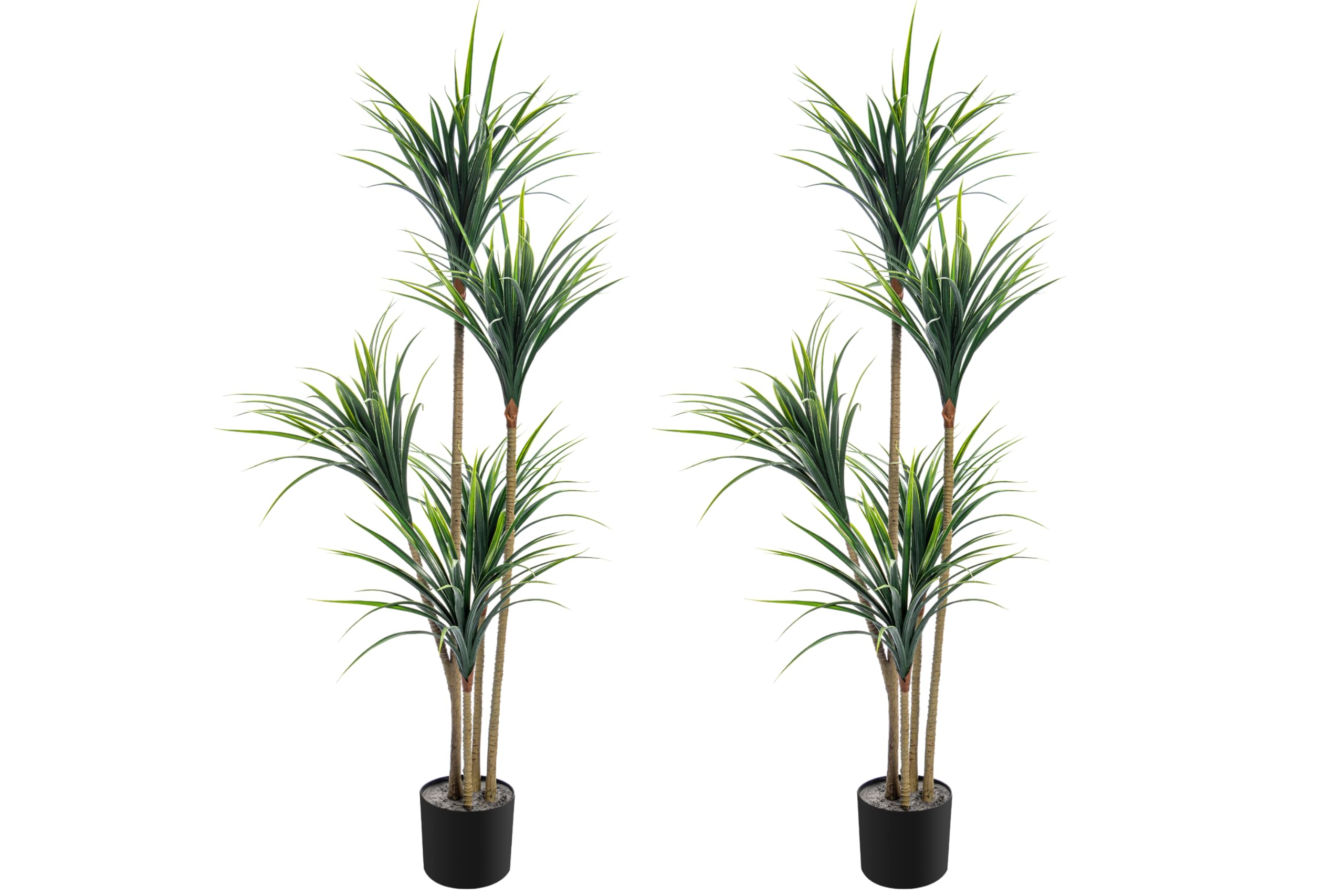 Photo 1 of **used**AEMRIQUE Pair 5.7' Yucca Trees Artificial Plant with Nursery Pots, 5.7' Each, Set of 2