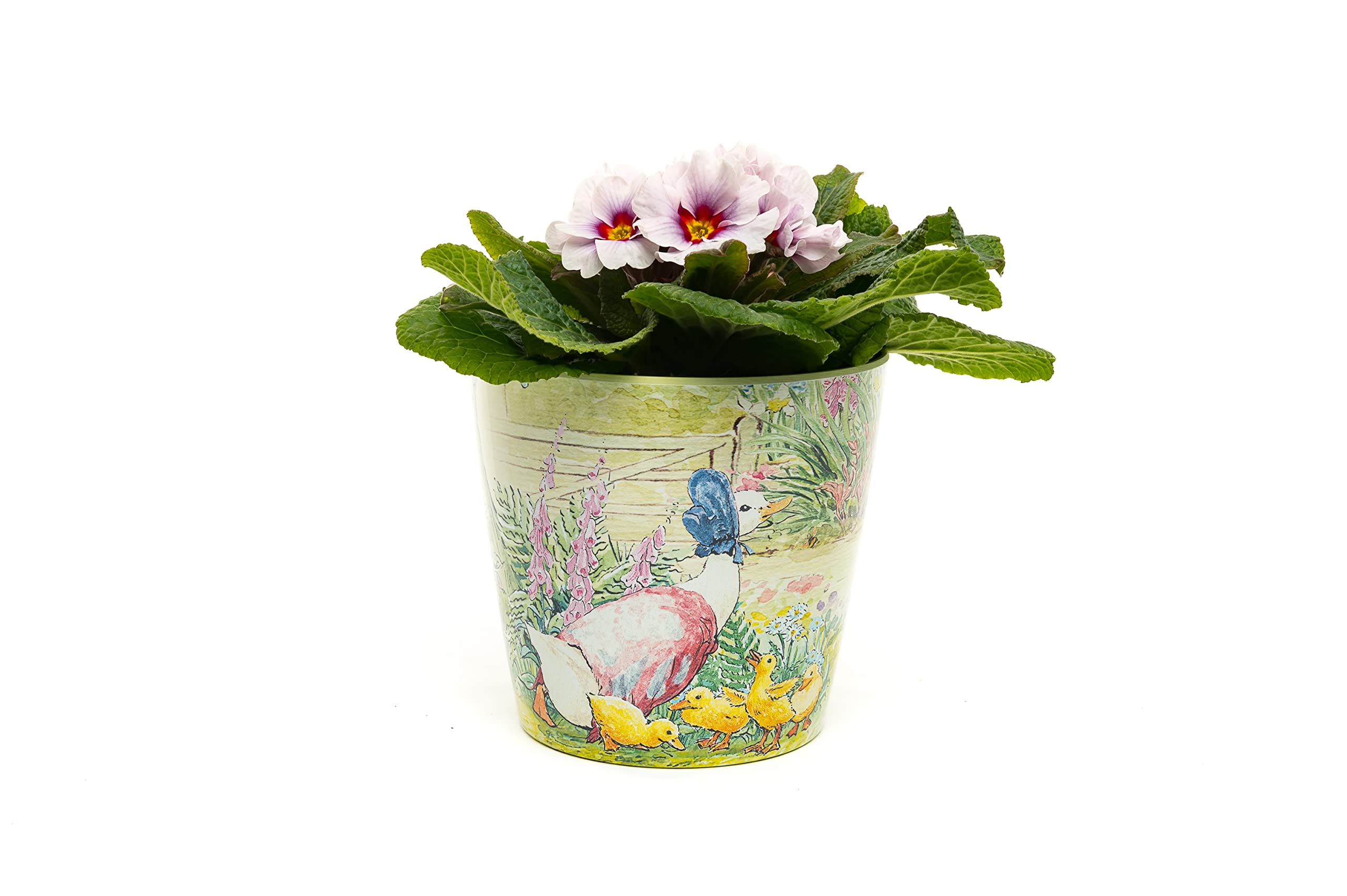 Beatrix Potter Peter Rabbit Eco Pots Set 1 - Mrs Tiggy-Winkle, Jemima & Mr Tod and Peter & Mr McGregor pots as a SET of 3