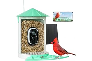 Birdkiss Smart Bird Feeder with Camera Solar, Auto Capture Bird Videos & Motion Detection, Bird Watching Camera Notify in Time, Metal Bird Feeder with Seed Guard, Ideal Present for Bird Lovers (Green)