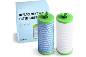 BLOTMS Water Filter Replacement Cartridge compatible with AO Smith - Fits AO-US-200-R Models | Advanced Sink Filtration System (2pcs)