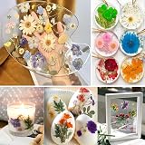 YoothBro White Dried Pressed Flowers for Resin Molds DIY Art Crafts view 4
