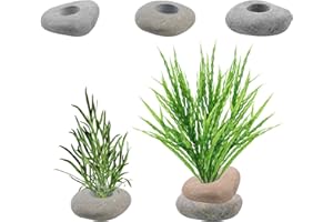 SNOWTING 6 Pcs Natural River Stone Plant Weights for Fish Tank, Pebble Aquatic Plants Fixed Ring, Unique Anti-Floating Decorative River Rock Anchors for Aquarium Landscape Decoration (0.79'' Hole Diameter)