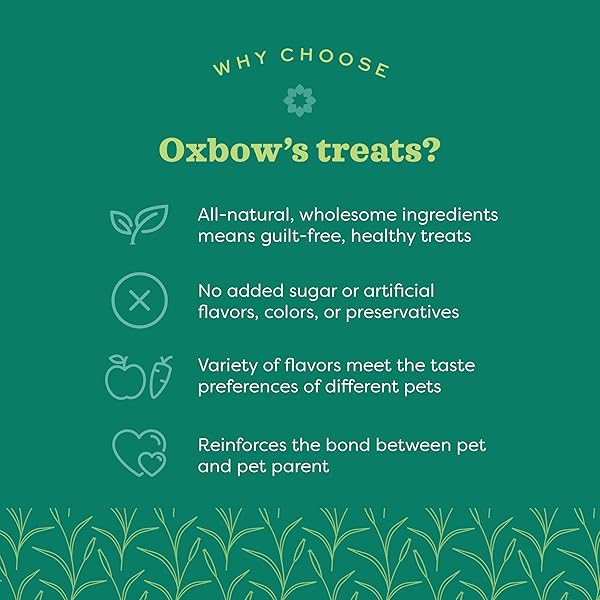 OXBOW SIMPLE REWARDS APPLE BANANA TREATS, TIMOTHY HAY GUINEA PIG & BUNNY TREATS, PET SNACK, MADE WITH OXBOW GUINEA PIG HAY, MADE IN USA, TIMOTHY FOR RABBIT, 3 OZ BAG
