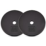 Yes4All 1-inch Cast Iron Weight Plates for