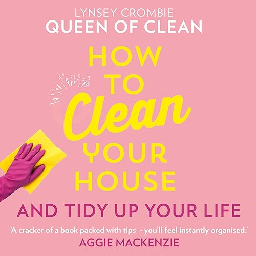 Download How to Clean Your House PDF