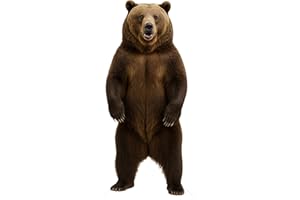 DP BOUTIQUE Bear 4FT Life Size Cardboard Cutout, Safari Theme Decoration, Animals Standup for Events, Party, Photography Props, 1 PC